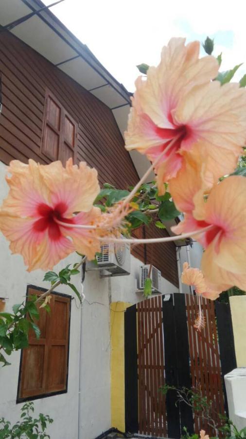 Experience Island Heritage Home Pantai Kok Exterior foto
